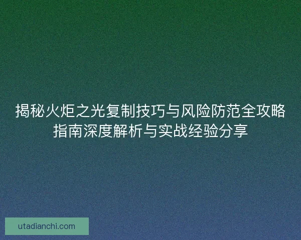 揭秘火炬之光复制技巧与风险防范全攻略指南深度解析与实战经验分享